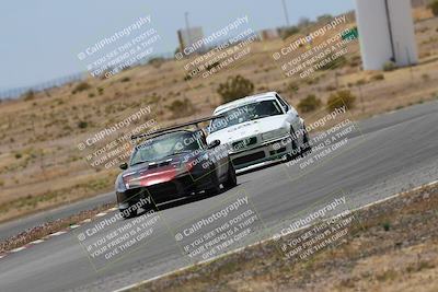 media/May-03-2025-Lucky Dog Racing (Sat) [[206de64b9d]]/Turn 6 (150pm-230pm)/